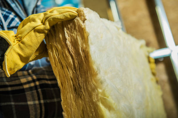 Best Local Insulation Services  in Forestville, MD