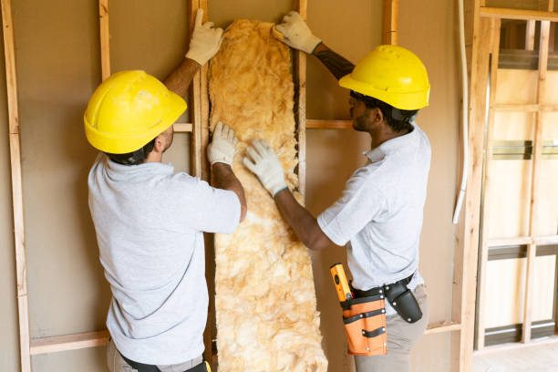 Best Fiberglass Insulation  in Forestville, MD