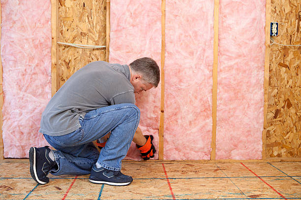 Best Wall Insulation Contractor  in Forestville, MD
