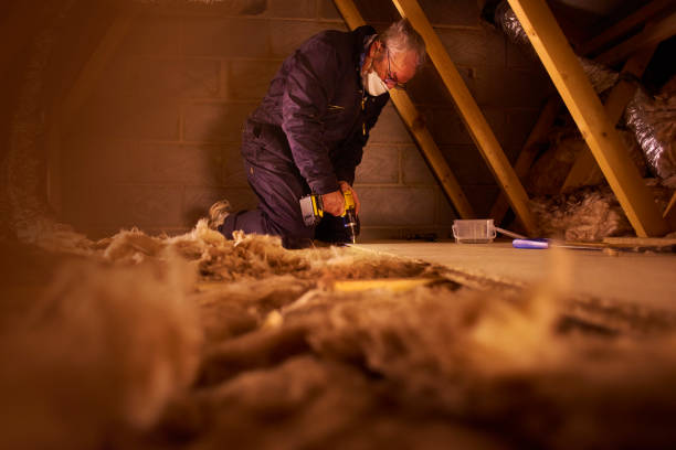 Best Spray Foam Insulation  in Forestville, MD